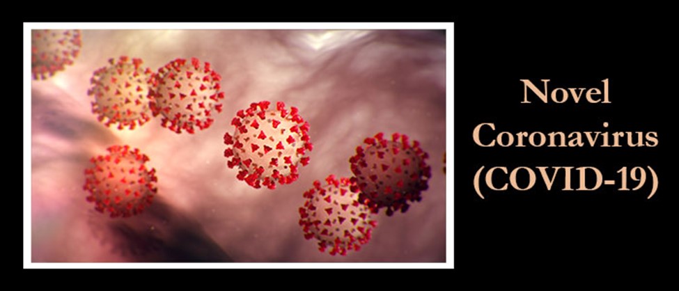 Novel Coronavirus (COVID-19)