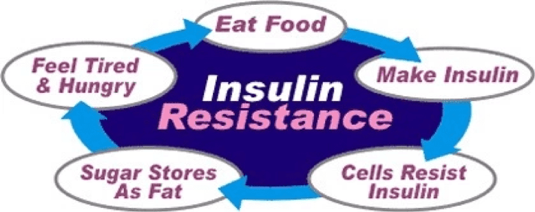 insulin resistance cycle